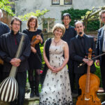 Tulipa Consort